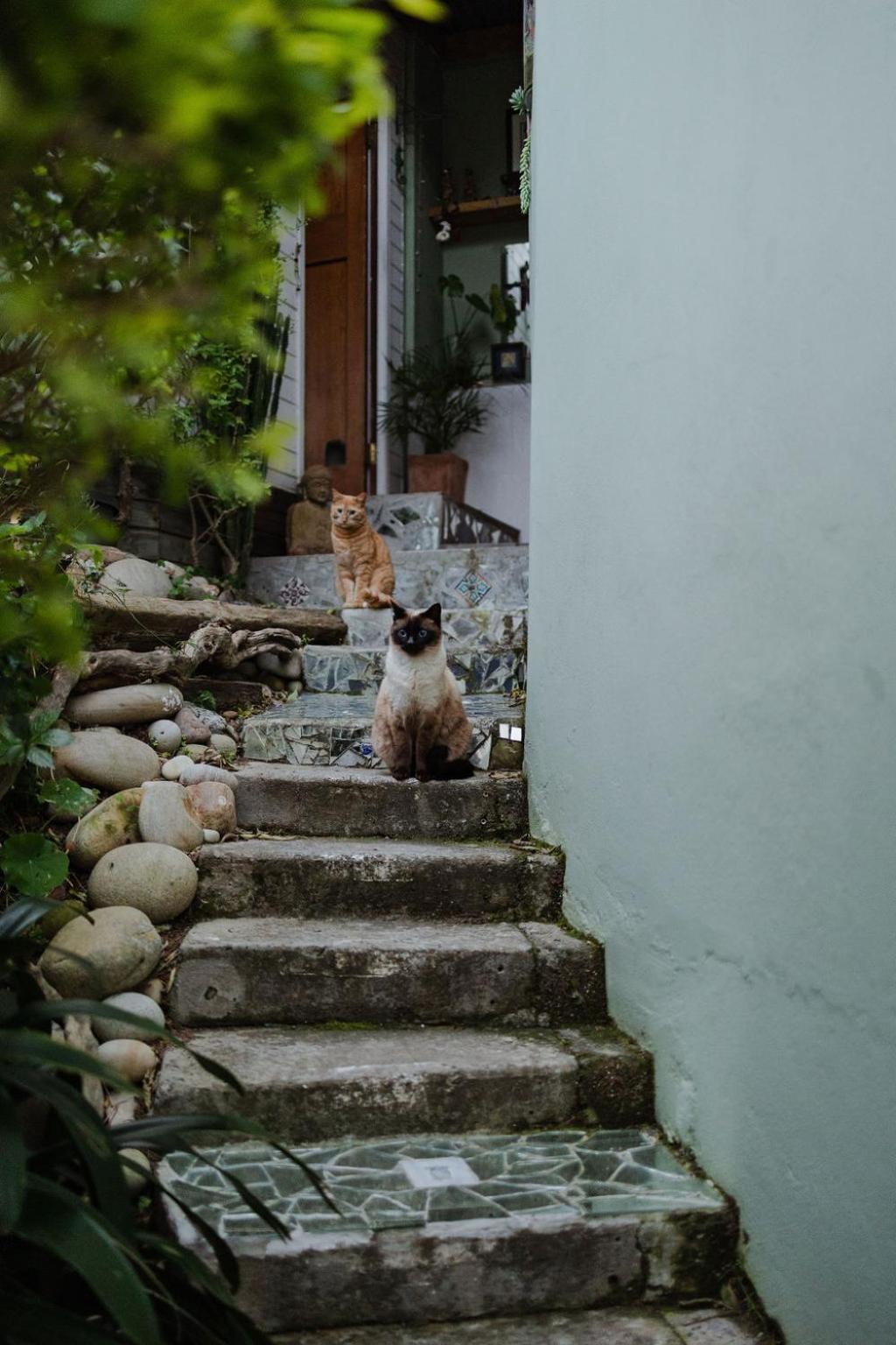 开普敦拉蒂姆厅旅馆住宿加早餐旅馆 外观 照片